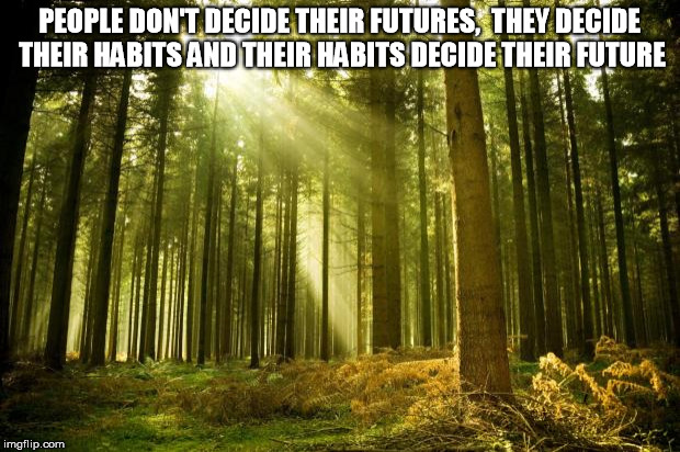 sunlit forest | PEOPLE DON'T DECIDE THEIR FUTURES, 
THEY DECIDE THEIR HABITS AND THEIR HABITS DECIDE THEIR FUTURE | image tagged in sunlit forest | made w/ Imgflip meme maker