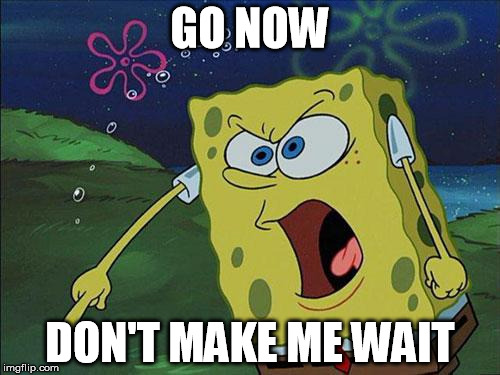 spongebob | GO NOW; DON'T MAKE ME WAIT | image tagged in spongebob | made w/ Imgflip meme maker