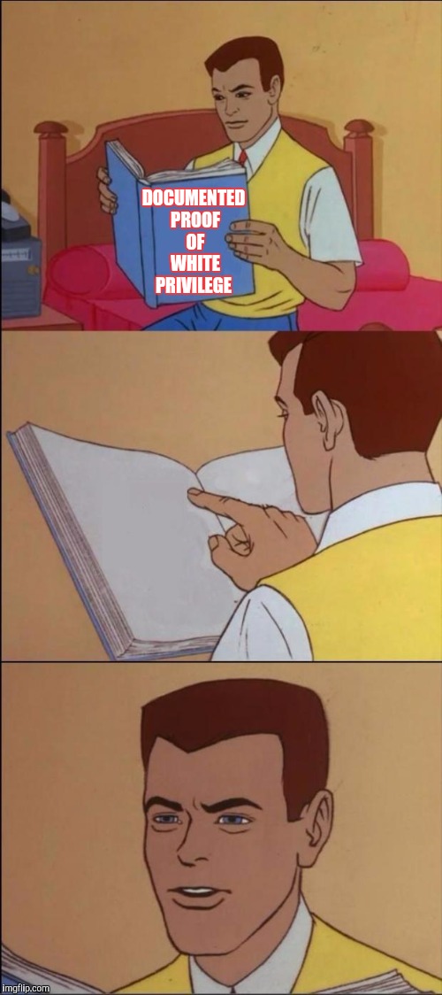 The book of white privilege  | DOCUMENTED PROOF OF WHITE PRIVILEGE | image tagged in the book of faggets,memes,white privilege | made w/ Imgflip meme maker