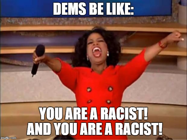 Oprah You Get A | DEMS BE LIKE:; YOU ARE A RACIST! AND YOU ARE A RACIST! | image tagged in memes,oprah you get a | made w/ Imgflip meme maker
