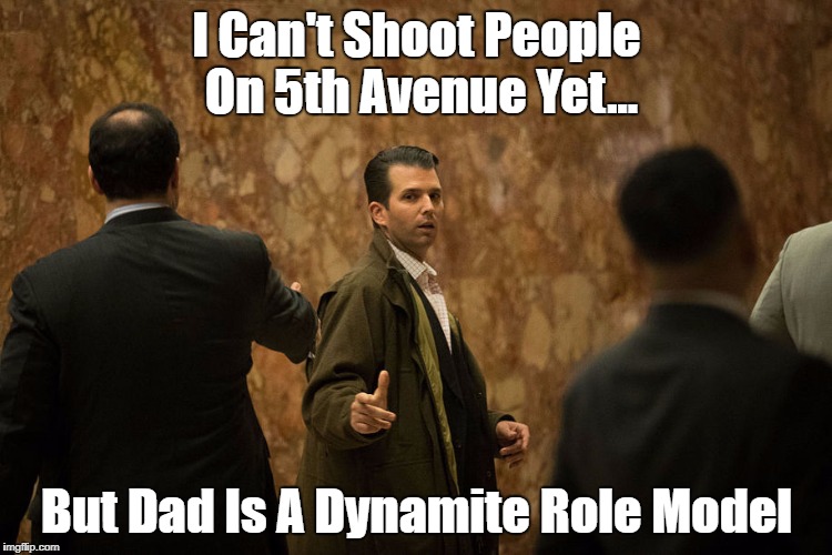 I Can't Shoot People On 5th Avenue Yet... But Dad Is A Dynamite Role Model | made w/ Imgflip meme maker