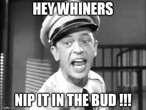Barney Fife | HEY WHINERS; NIP IT IN THE BUD !!! | image tagged in barney fife | made w/ Imgflip meme maker