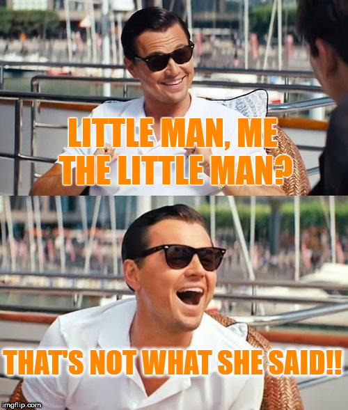 Little Man? | LITTLE MAN, ME THE LITTLE MAN? THAT'S NOT WHAT SHE SAID!! | image tagged in memes,leonardo dicaprio wolf of wall street,funny,too funny,movie quotes | made w/ Imgflip meme maker