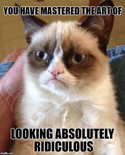 Grumpy Cat Meme | YOU HAVE MASTERED THE ART OF; LOOKING ABSOLUTELY RIDICULOUS | image tagged in memes,grumpy cat | made w/ Imgflip meme maker