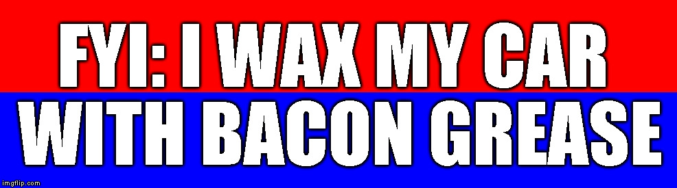 Blank Bumper Sticker | FYI: I WAX MY CAR WITH BACON GREASE | image tagged in blank bumper sticker | made w/ Imgflip meme maker