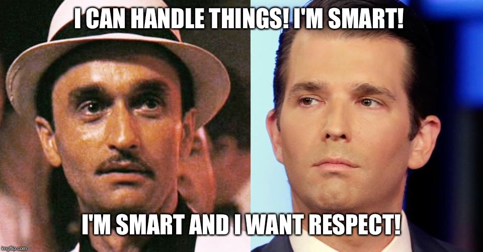I CAN HANDLE THINGS! I'M SMART! I'M SMART AND I WANT RESPECT! | image tagged in donald trump jr,donald trump,donald trump is an idiot,godfather | made w/ Imgflip meme maker