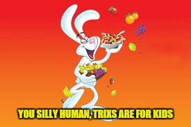 YOU SILLY HUMAN, TRIXS ARE FOR KIDS | made w/ Imgflip meme maker
