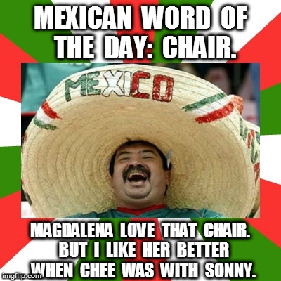 Mexican Word of the Day: Chair 2 | MEXICAN  WORD  OF  THE  DAY:  CHAIR. MAGDALENA  LOVE  THAT  CHAIR.  BUT  I  LIKE  HER  BETTER  WHEN  CHEE  WAS  WITH  SONNY. | image tagged in mexican word of the day | made w/ Imgflip meme maker