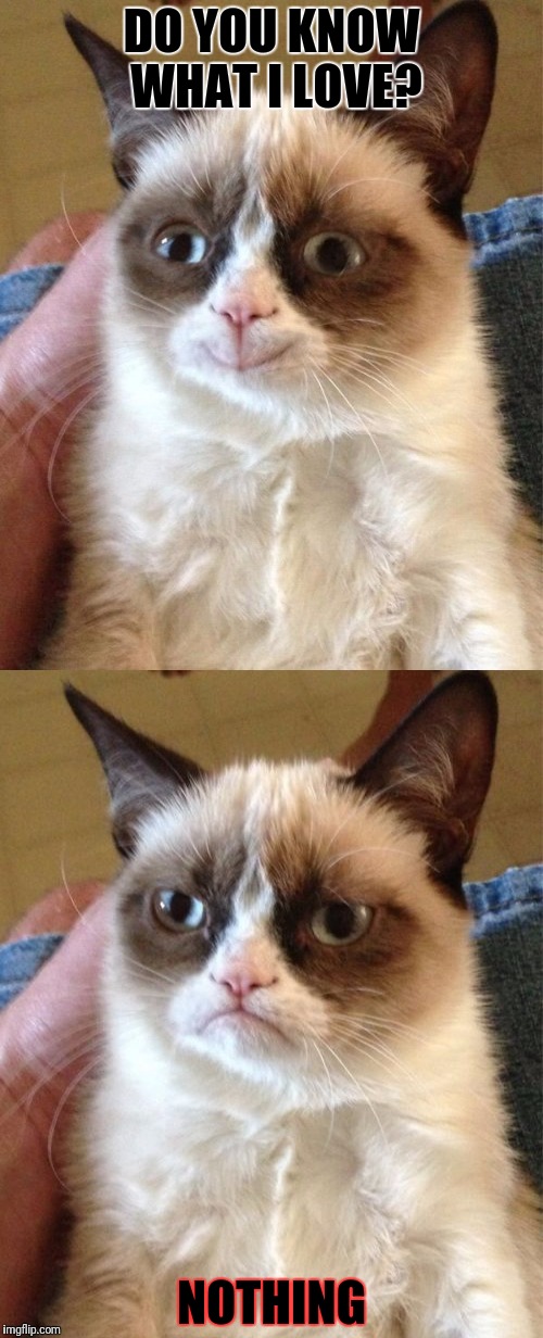 True Grumpy Cat  | DO YOU KNOW WHAT I LOVE? NOTHING | image tagged in both cat | made w/ Imgflip meme maker