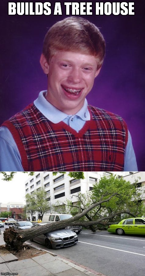 That's the Rock's cab it fell on too! | BUILDS A TREE HOUSE | image tagged in bad luck brian,tree,epic fail | made w/ Imgflip meme maker