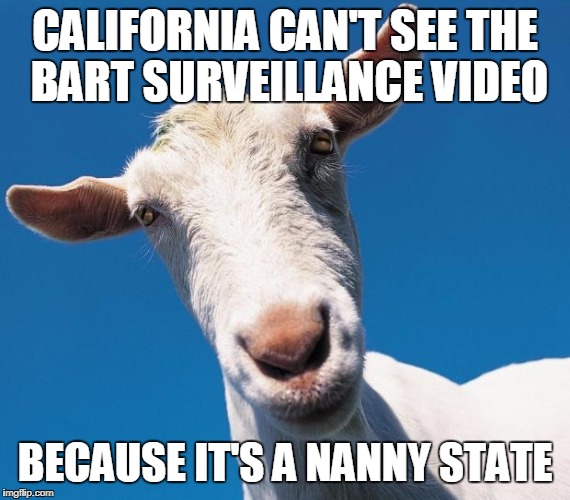Baaaaaa-d Kids | CALIFORNIA CAN'T SEE THE BART SURVEILLANCE VIDEO; BECAUSE IT'S A NANNY STATE | image tagged in nanny goat | made w/ Imgflip meme maker