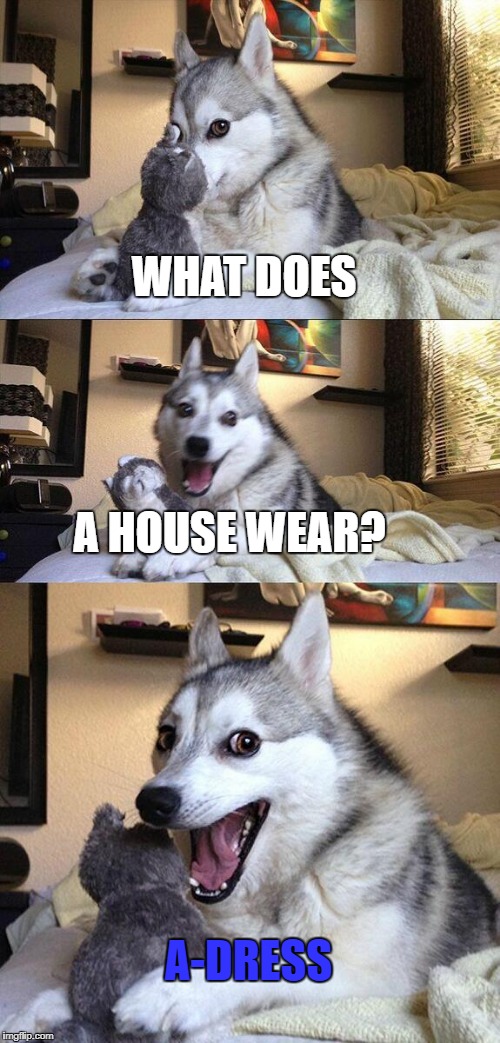 Bad Pun Dog Meme | WHAT DOES; A HOUSE WEAR? A-DRESS | image tagged in memes,bad pun dog | made w/ Imgflip meme maker