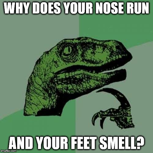Philosoraptor | WHY DOES YOUR NOSE RUN; AND YOUR FEET SMELL? | image tagged in memes,philosoraptor | made w/ Imgflip meme maker
