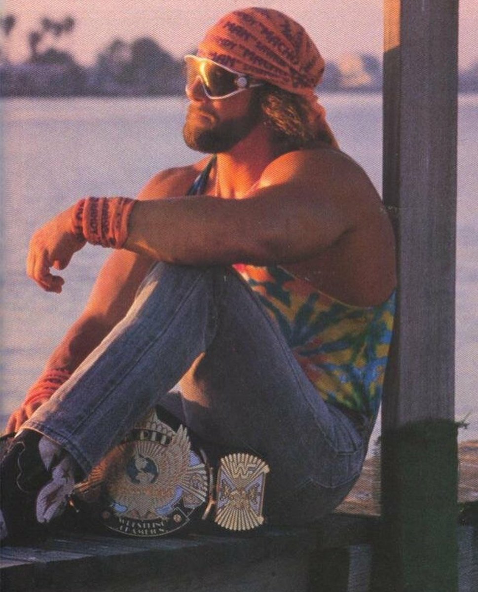 Sensitive Randy Savage Blank Meme Template