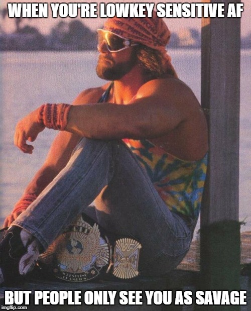 Sensitive Randy Savage | WHEN YOU'RE LOWKEY SENSITIVE AF; BUT PEOPLE ONLY SEE YOU AS SAVAGE | image tagged in sensitive randy savage | made w/ Imgflip meme maker