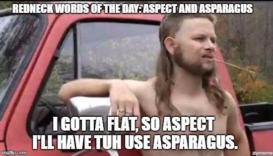 almost politically correct redneck | REDNECK WORDS OF THE DAY:
ASPECT AND ASPARAGUS; I GOTTA FLAT, SO ASPECT I'LL HAVE TUH USE ASPARAGUS. | image tagged in almost politically correct redneck | made w/ Imgflip meme maker