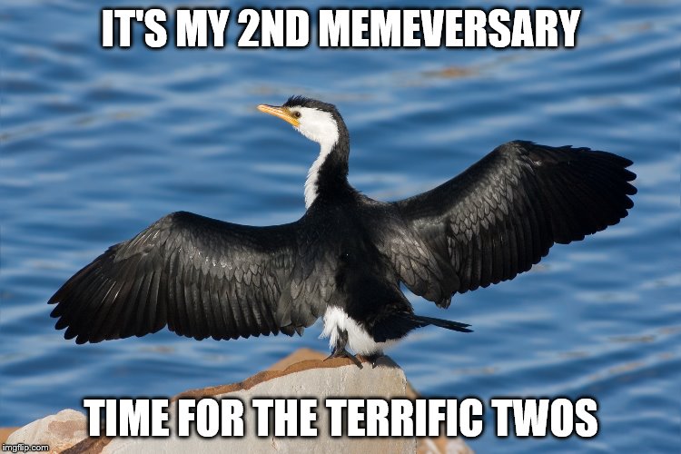 Duckguin | IT'S MY 2ND MEMEVERSARY; TIME FOR THE TERRIFIC TWOS | image tagged in duckguin | made w/ Imgflip meme maker