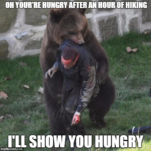 bear hug | OH YOUR'RE HUNGRY AFTER AN HOUR OF HIKING; I'LL SHOW YOU HUNGRY | image tagged in bear hug | made w/ Imgflip meme maker