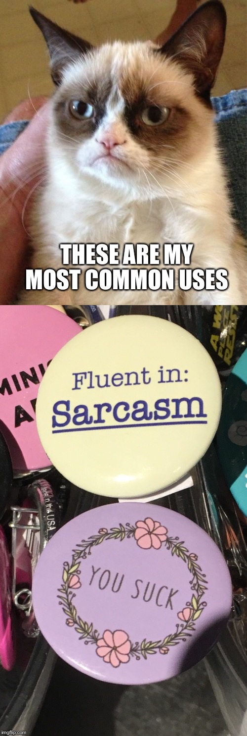 THESE ARE MY MOST COMMON USES | image tagged in grumpy cat,sarcasm,memes | made w/ Imgflip meme maker