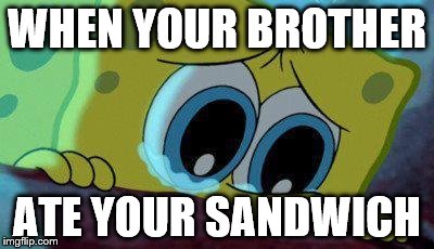 Spongebob | WHEN YOUR BROTHER; ATE YOUR SANDWICH | image tagged in spongebob | made w/ Imgflip meme maker