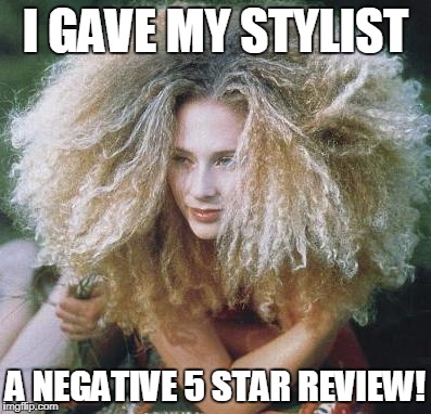 bad hair day | I GAVE MY STYLIST; A NEGATIVE 5 STAR REVIEW! | image tagged in bad hair day | made w/ Imgflip meme maker