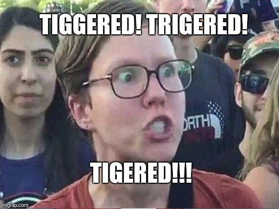 TIGGERED! TRIGERED! TIGERED!!! | made w/ Imgflip meme maker