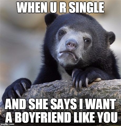 Confession Bear Meme | WHEN U R SINGLE; AND SHE SAYS I WANT A BOYFRIEND LIKE YOU | image tagged in memes,confession bear | made w/ Imgflip meme maker