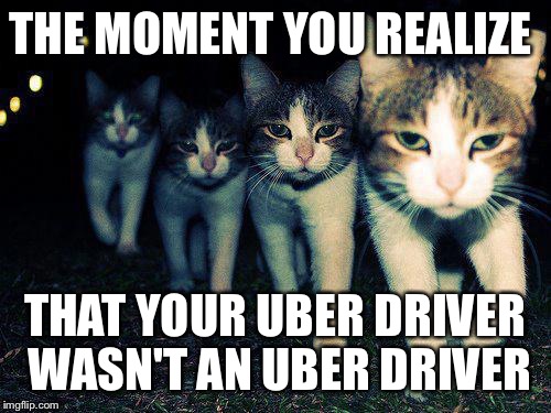 Wrong Neighboorhood Cats Meme | THE MOMENT YOU REALIZE; THAT YOUR UBER DRIVER WASN'T AN UBER DRIVER | image tagged in memes,wrong neighboorhood cats | made w/ Imgflip meme maker