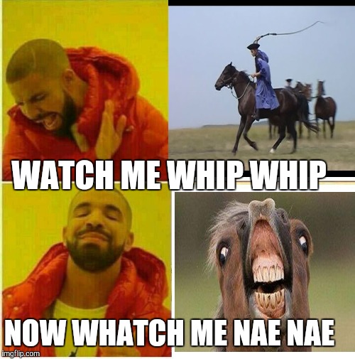 Drake Hotline approves | WATCH ME WHIP WHIP; NOW WHATCH ME NAE NAE | image tagged in drake hotline approves | made w/ Imgflip meme maker