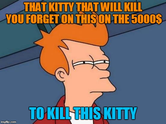 Futurama Fry Meme | THAT KITTY THAT WILL KILL YOU FORGET ON THIS ON THE 5000$ TO KILL THIS KITTY | image tagged in memes,futurama fry | made w/ Imgflip meme maker