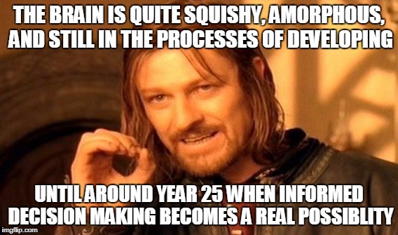 One Does Not Simply Meme | THE BRAIN IS QUITE SQUISHY, AMORPHOUS, AND STILL IN THE PROCESSES OF DEVELOPING; UNTIL AROUND YEAR 25 WHEN INFORMED DECISION MAKING BECOMES A REAL POSSIBLITY | image tagged in memes,one does not simply | made w/ Imgflip meme maker