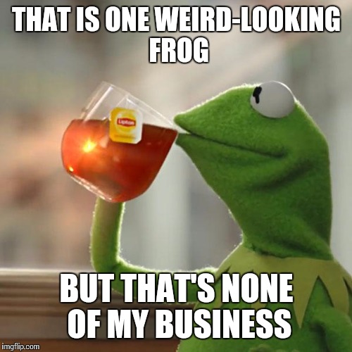 But That's None Of My Business Meme | THAT IS ONE WEIRD-LOOKING FROG BUT THAT'S NONE OF MY BUSINESS | image tagged in memes,but thats none of my business,kermit the frog | made w/ Imgflip meme maker