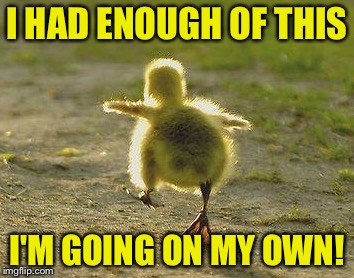 I HAD ENOUGH OF THIS I'M GOING ON MY OWN! | made w/ Imgflip meme maker