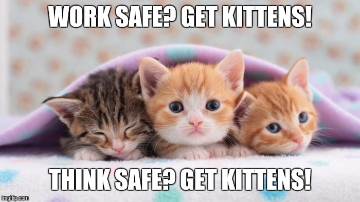 WORK SAFE? GET KITTENS! THINK SAFE? GET KITTENS! | image tagged in kittens,safety,osha | made w/ Imgflip meme maker