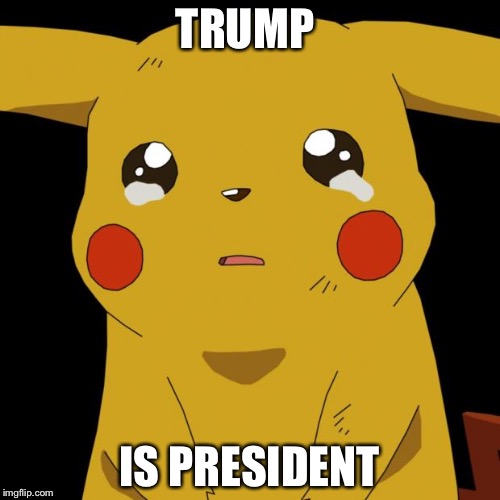Pikachu crying | TRUMP; IS PRESIDENT | image tagged in pikachu crying | made w/ Imgflip meme maker