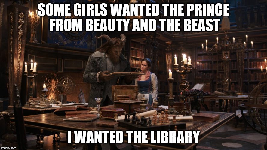 SOME GIRLS WANTED THE PRINCE FROM BEAUTY AND THE BEAST; I WANTED THE LIBRARY | image tagged in library,beauty and the beast | made w/ Imgflip meme maker