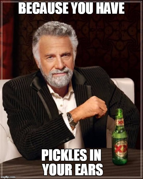The Most Interesting Man In The World Meme | BECAUSE YOU HAVE PICKLES IN YOUR EARS | image tagged in memes,the most interesting man in the world | made w/ Imgflip meme maker