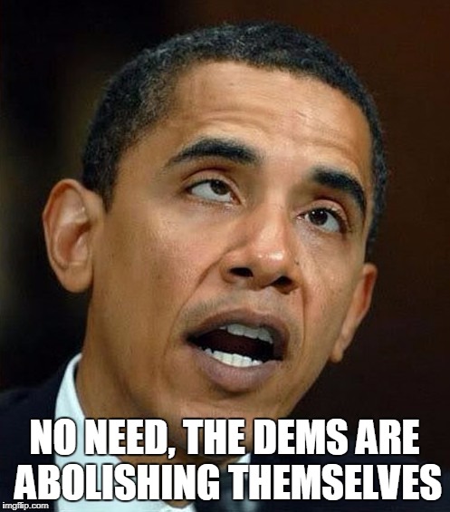 partisanship | NO NEED, THE DEMS ARE ABOLISHING THEMSELVES | image tagged in partisanship | made w/ Imgflip meme maker