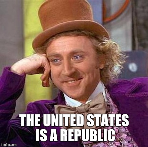 Creepy Condescending Wonka Meme | THE UNITED STATES IS A REPUBLIC | image tagged in memes,creepy condescending wonka | made w/ Imgflip meme maker
