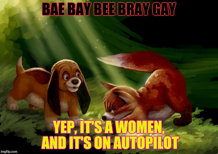 BAE BAY BEE BRAY GAY YEP, IT'S A WOMEN, AND IT'S ON AUTOPILOT | made w/ Imgflip meme maker
