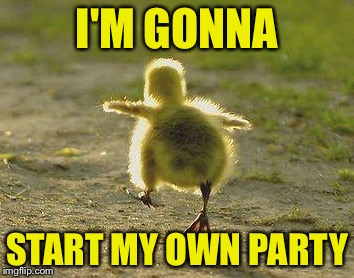 I'M GONNA START MY OWN PARTY | made w/ Imgflip meme maker