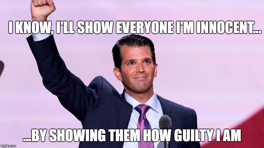 I KNOW, I'LL SHOW EVERYONE I'M INNOCENT... ...BY SHOWING THEM HOW GUILTY I AM | image tagged in trump jr | made w/ Imgflip meme maker