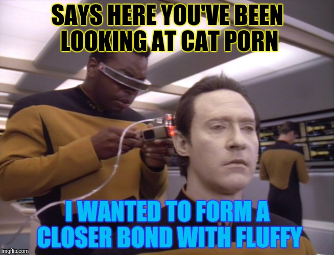 SAYS HERE YOU'VE BEEN LOOKING AT CAT PORN I WANTED TO FORM A CLOSER BOND WITH FLUFFY | made w/ Imgflip meme maker