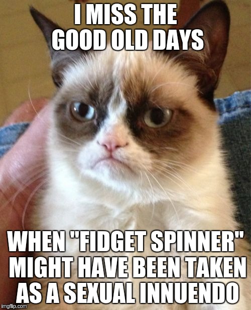 Grumpy Cat Meme | I MISS THE GOOD OLD DAYS; WHEN "FIDGET SPINNER" MIGHT HAVE BEEN TAKEN AS A SEXUAL INNUENDO | image tagged in memes,grumpy cat | made w/ Imgflip meme maker