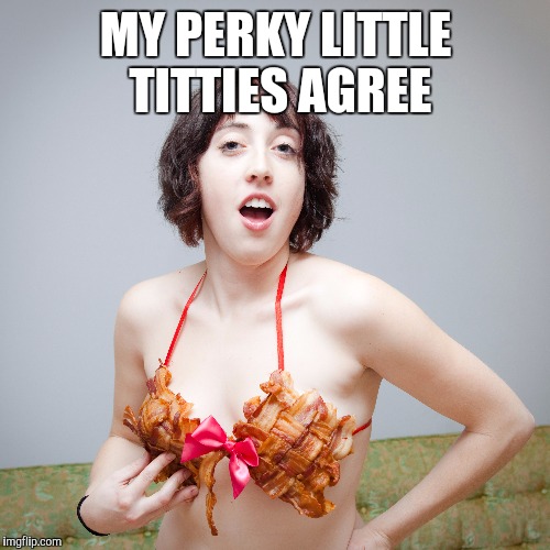 MY PERKY LITTLE TITTIES AGREE | made w/ Imgflip meme maker