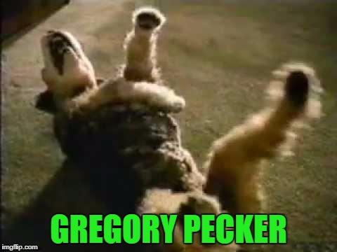 GREGORY PECKER | made w/ Imgflip meme maker