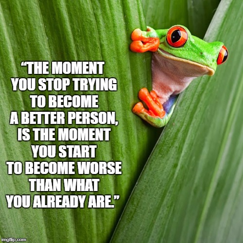 “THE MOMENT YOU STOP TRYING TO BECOME A BETTER PERSON, IS THE MOMENT YOU START TO BECOME WORSE THAN WHAT YOU ALREADY ARE.” | image tagged in better,live and let die | made w/ Imgflip meme maker
