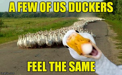 A FEW OF US DUCKERS FEEL THE SAME | made w/ Imgflip meme maker