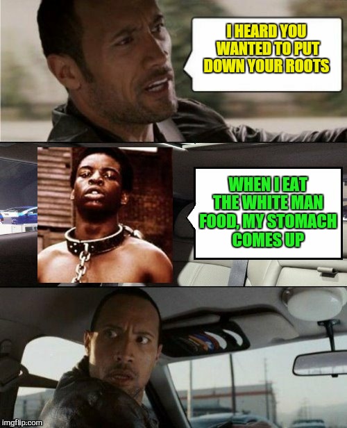The Rock Driving Blank 2 | I HEARD YOU WANTED TO PUT DOWN YOUR ROOTS WHEN I EAT THE WHITE MAN FOOD, MY STOMACH COMES UP | image tagged in the rock driving blank 2 | made w/ Imgflip meme maker