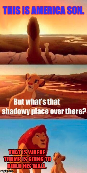 Simba Shadowy Place Meme | THIS IS AMERICA SON. THAT IS WHERE TRUMP IS GOING TO BUILD HIS WALL. | image tagged in memes,simba shadowy place | made w/ Imgflip meme maker